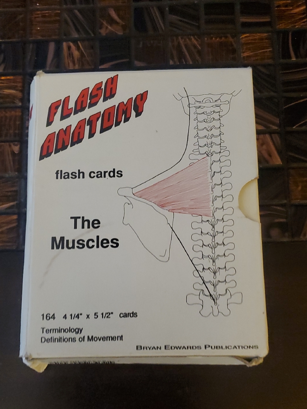 Flash Anatomy Flash Cards - The Muscles